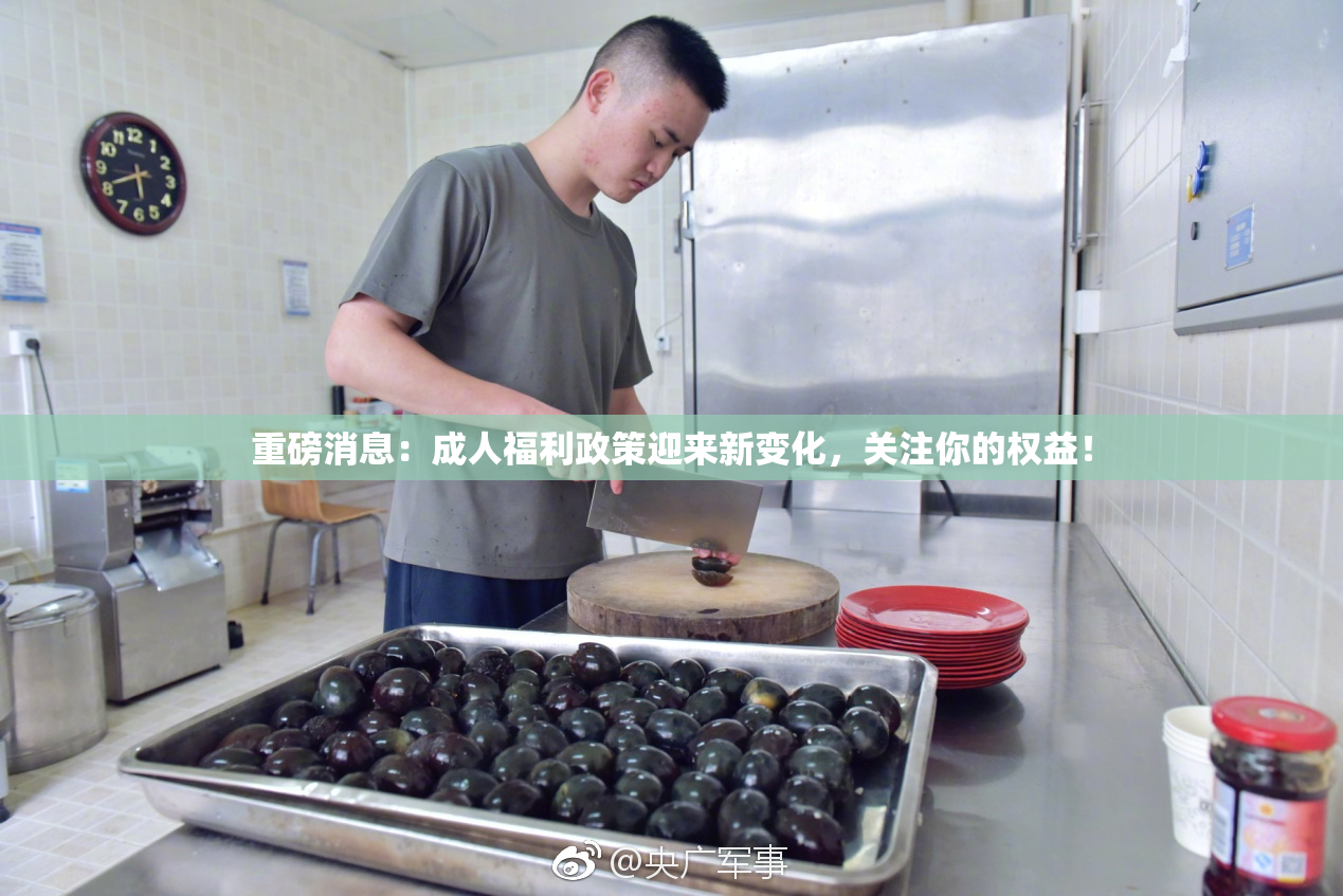 重磅消息：成人福利政策迎来新变化，关注你的权益！