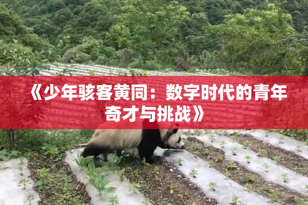 《少年骇客黄同：数字时代的青年奇才与挑战》