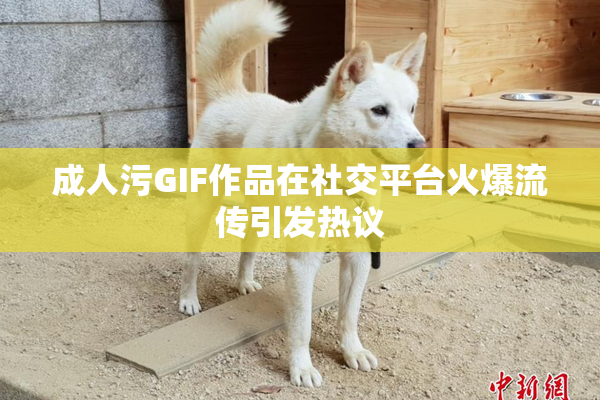 成人污GIF作品在社交平台火爆流传引发热议