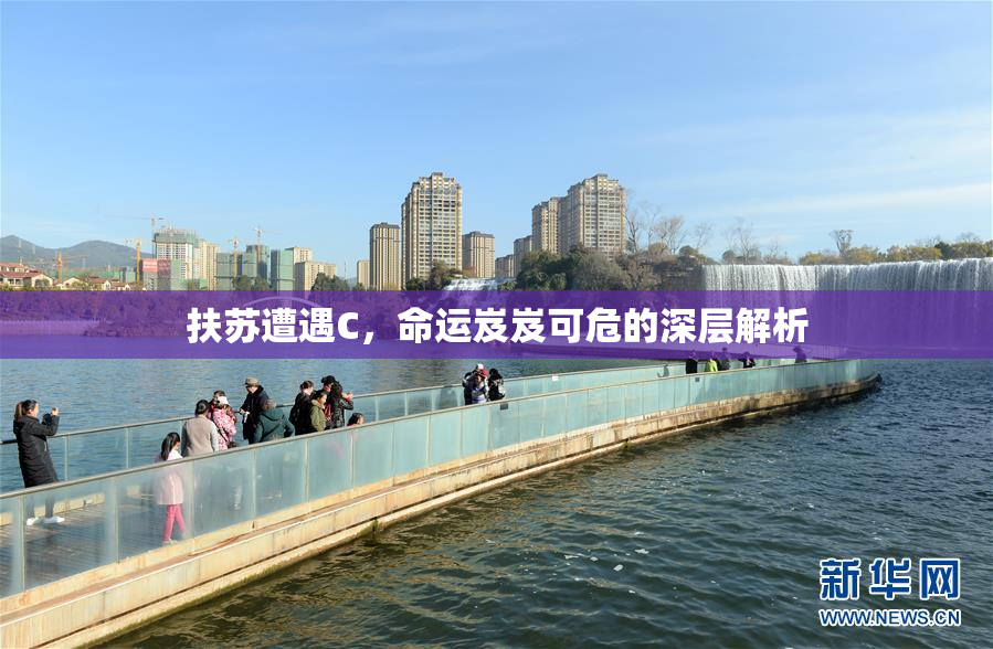 扶苏遭遇C，命运岌岌可危的深层解析