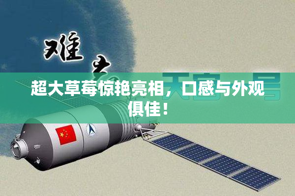 超大草莓惊艳亮相，口感与外观俱佳！