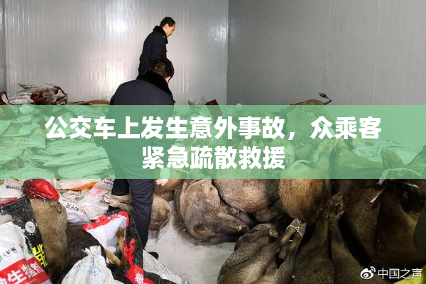 公交车上发生意外事故，众乘客紧急疏散救援