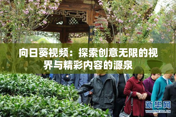 向日葵视频：探索创意无限的视界与精彩内容的源泉