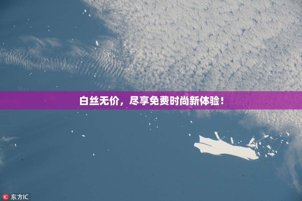 白丝无价，尽享免费时尚新体验！