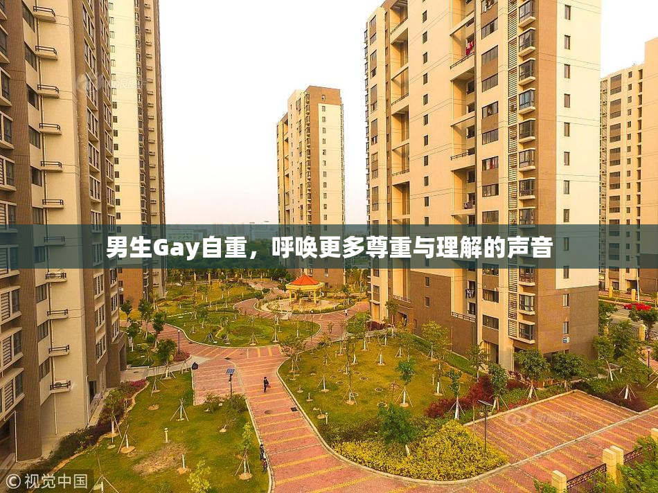 男生Gay自重，呼唤更多尊重与理解的声音