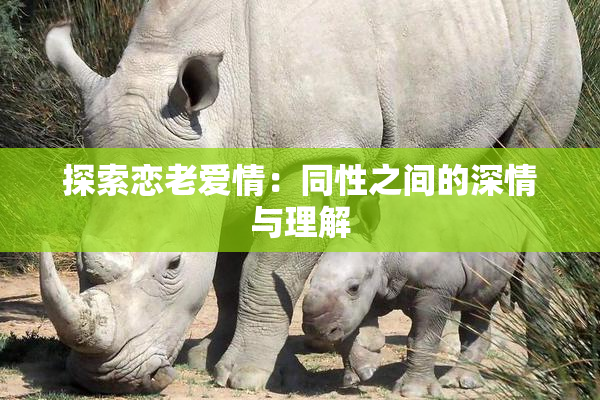 探索恋老爱情：同性之间的深情与理解