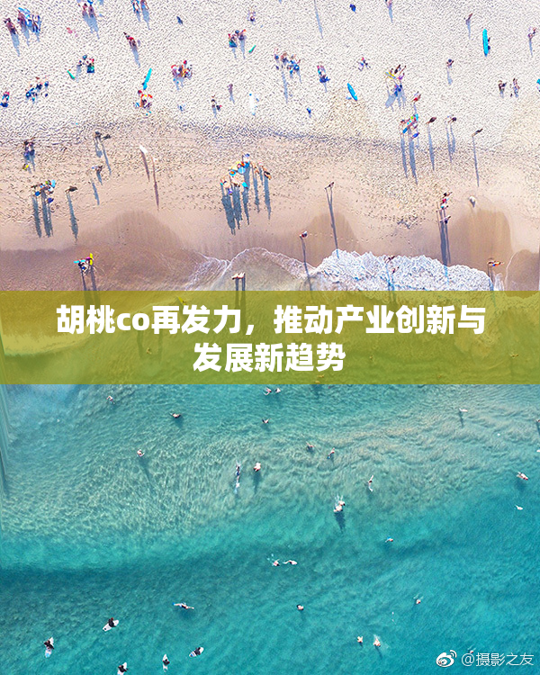 胡桃co再发力，推动产业创新与发展新趋势