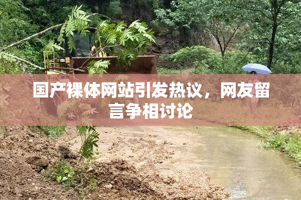国产裸体网站引发热议，网友留言争相讨论
