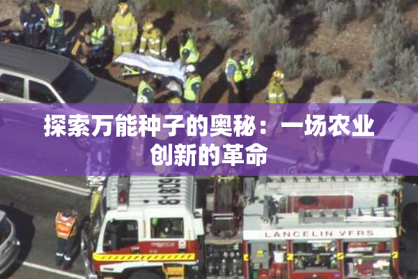 探索万能种子的奥秘：一场农业创新的革命