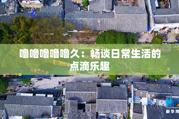 噜噜噜噜噜久：畅谈日常生活的点滴乐趣