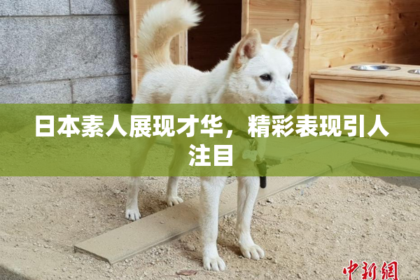 日本素人展现才华，精彩表现引人注目