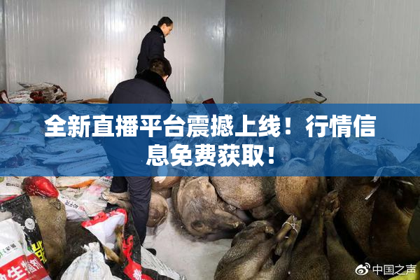 全新直播平台震撼上线！行情信息免费获取！