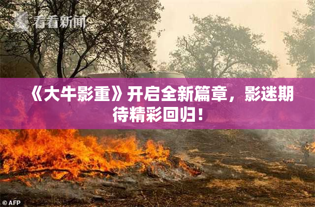 《大牛影重》开启全新篇章，影迷期待精彩回归！
