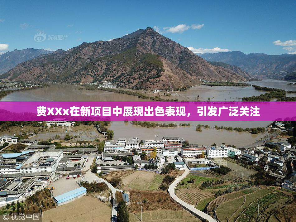 费XXx在新项目中展现出色表现，引发广泛关注