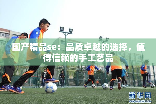 国产精品se：品质卓越的选择，值得信赖的手工艺品