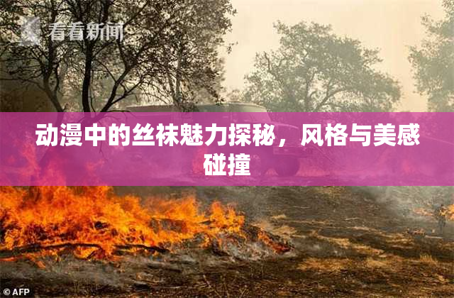 动漫中的丝袜魅力探秘，风格与美感碰撞