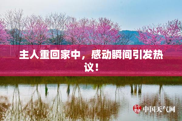 主人重回家中，感动瞬间引发热议！