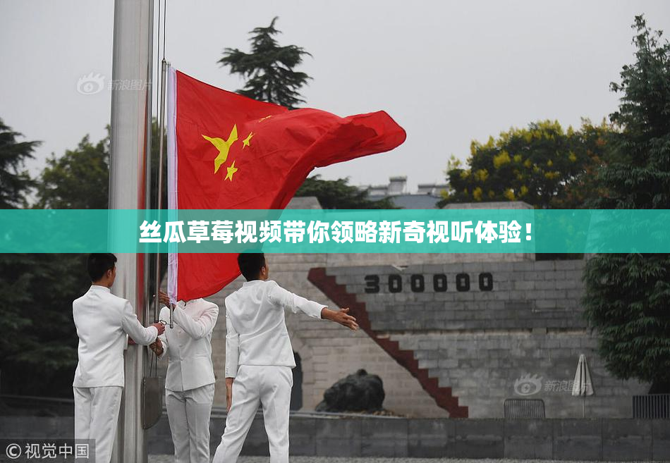 丝瓜草莓视频带你领略新奇视听体验！