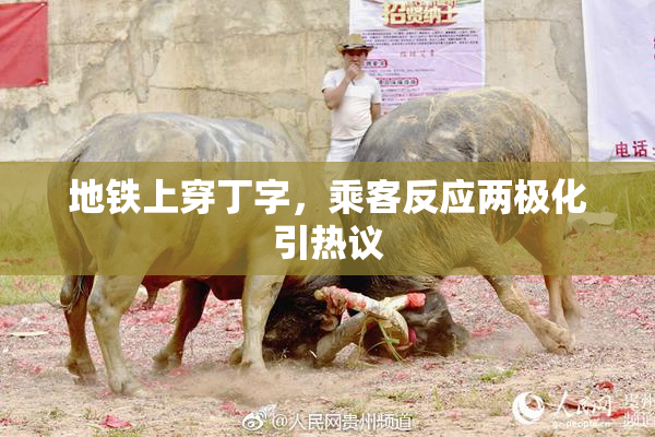 地铁上穿丁字，乘客反应两极化引热议