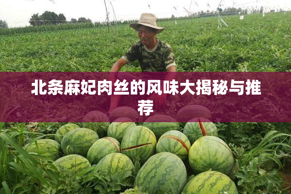 北条麻妃肉丝的风味大揭秘与推荐