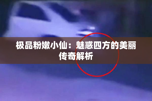 极品粉嫩小仙：魅惑四方的美丽传奇解析