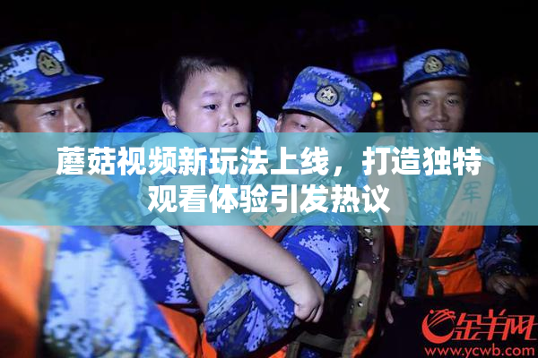 蘑菇视频新玩法上线，打造独特观看体验引发热议