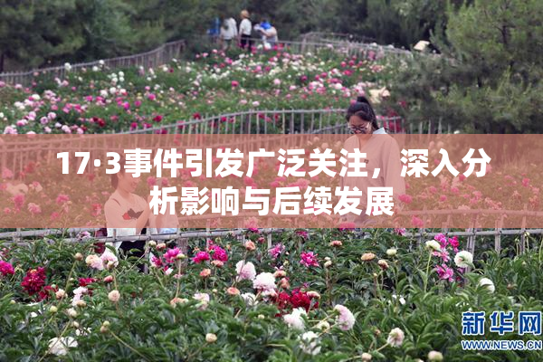 17·3事件引发广泛关注，深入分析影响与后续发展