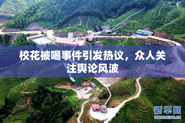 校花被喝事件引发热议，众人关注舆论风波