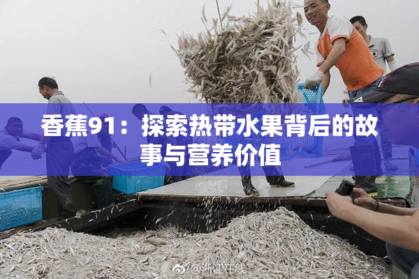 香蕉91：探索热带水果背后的故事与营养价值