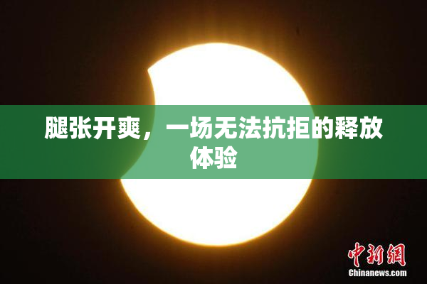 腿张开爽，一场无法抗拒的释放体验