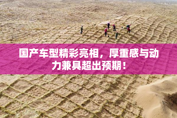 国产车型精彩亮相，厚重感与动力兼具超出预期！