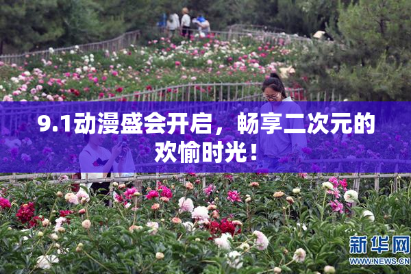 9.1动漫盛会开启，畅享二次元的欢愉时光！