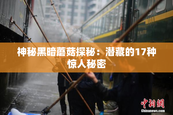 神秘黑暗蘑菇探秘：潜藏的17种惊人秘密