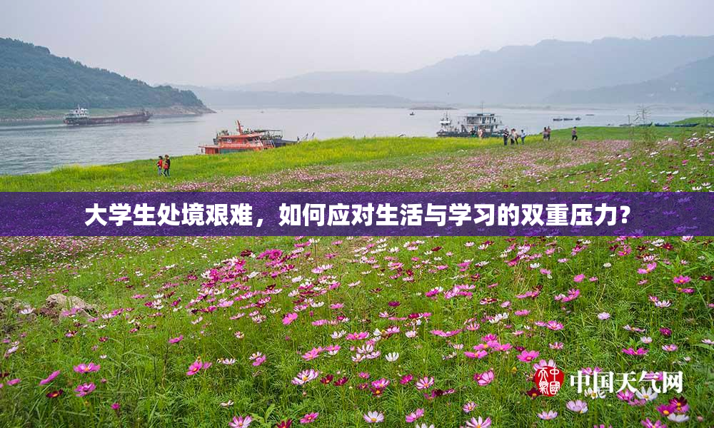 大学生处境艰难，如何应对生活与学习的双重压力？