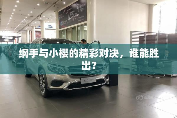 纲手与小樱的精彩对决，谁能胜出？