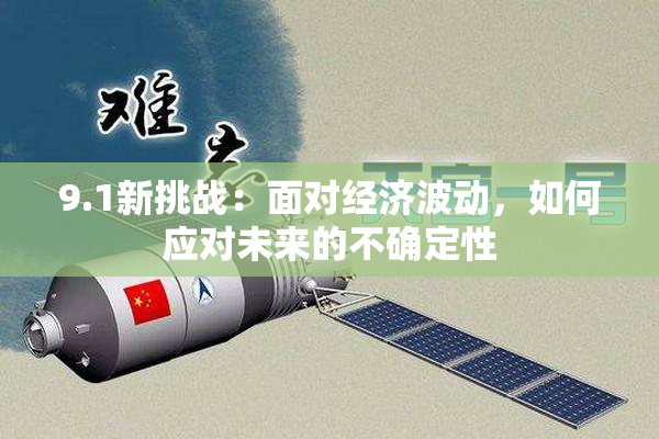9.1新挑战：面对经济波动，如何应对未来的不确定性