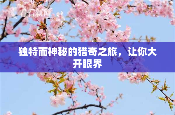 独特而神秘的猎奇之旅，让你大开眼界