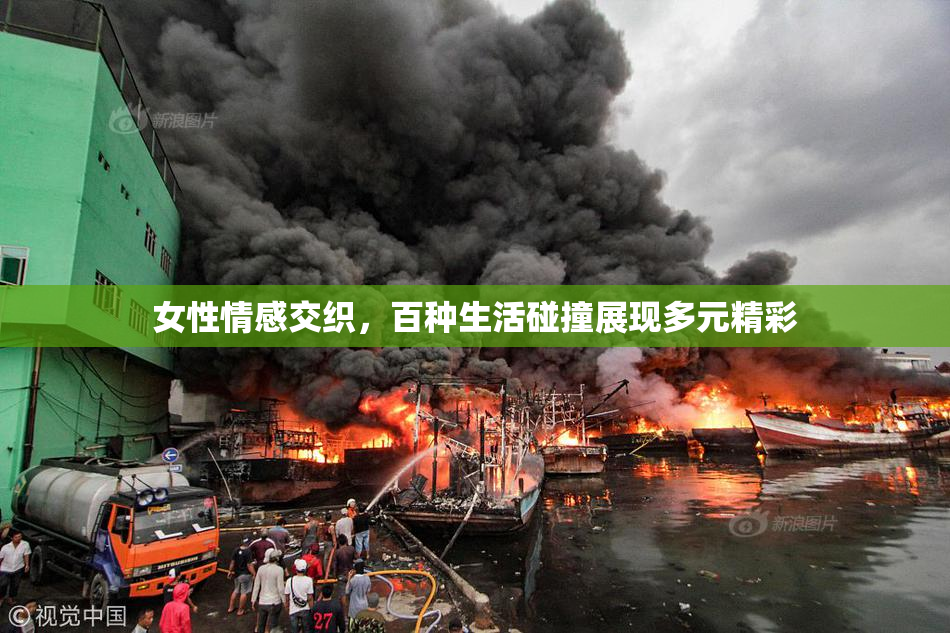 女性情感交织，百种生活碰撞展现多元精彩
