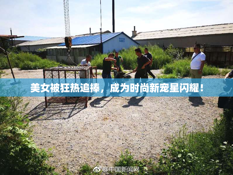 美女被狂热追捧，成为时尚新宠星闪耀！