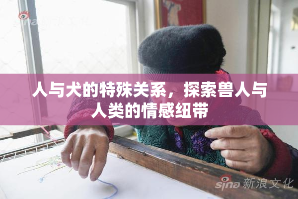 人与犬的特殊关系，探索兽人与人类的情感纽带