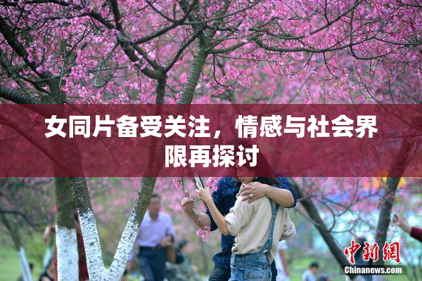 女同片备受关注，情感与社会界限再探讨