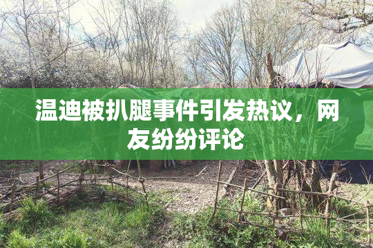 温迪被扒腿事件引发热议，网友纷纷评论