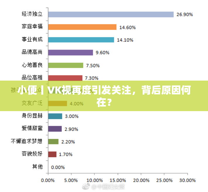 小便丨VK视再度引发关注，背后原因何在？