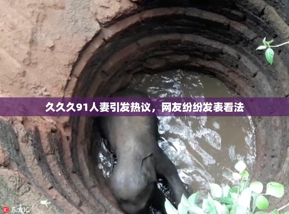 久久久91人妻引发热议，网友纷纷发表看法