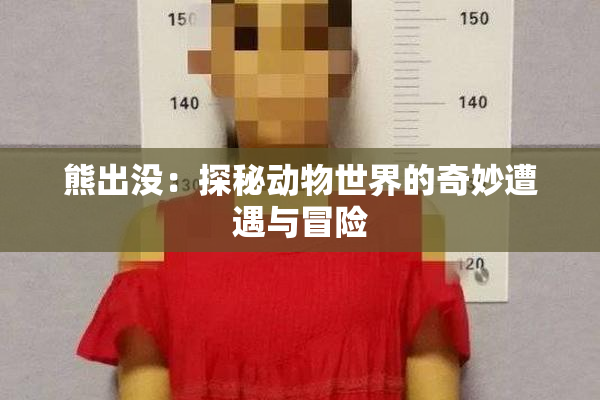 熊出没：探秘动物世界的奇妙遭遇与冒险