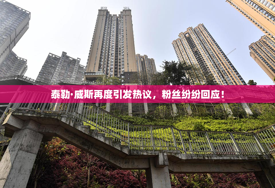 泰勒·威斯再度引发热议，粉丝纷纷回应！