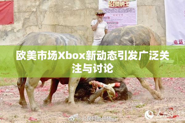 欧美市场Xbox新动态引发广泛关注与讨论