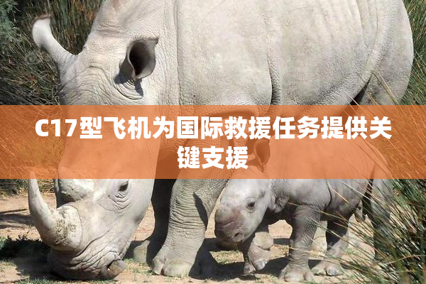 C17型飞机为国际救援任务提供关键支援