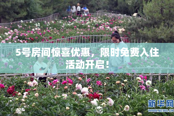 5号房间惊喜优惠，限时免费入住活动开启！