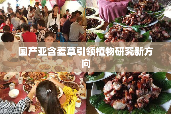 国产亚含羞草引领植物研究新方向